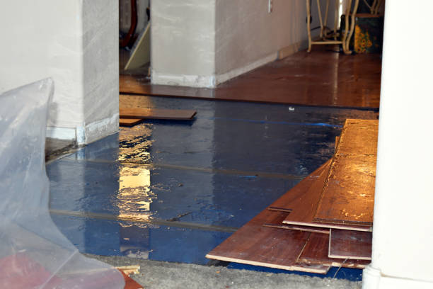 Professional Basement Flood Cleanup technician working in Meadow Bridge, WV